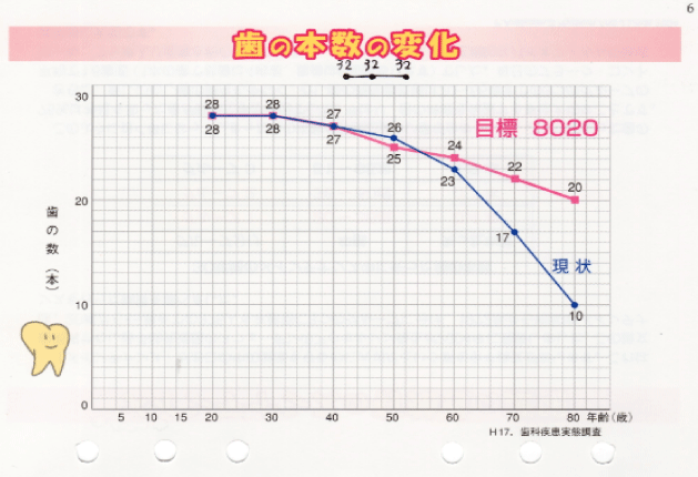 歯の本数の変化